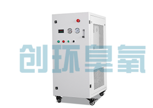 陵水石斑鱼养殖水质调控完整指南:臭氧发生器配置与操作步骤