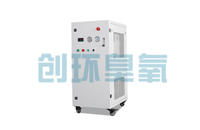 陵水比传统换水更高效?臭氧发生器在石斑鱼养殖中的水质净化原理解析
